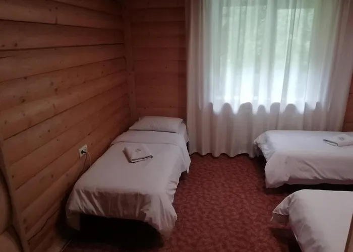 Cheremosh Hotel *